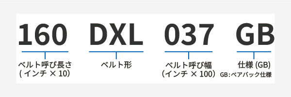 ダブルタイミングベルトG DXL 製品コード