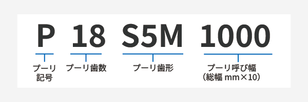  p18s5m1000