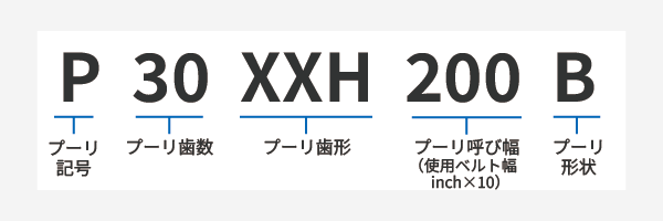 p30xxh200b