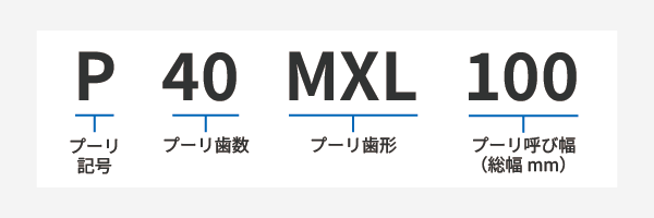 p40mxl100.